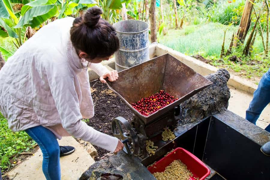 Medellin: Horseback Riding Coffee Farm Tour with Coffee Spa - Coffee farm tour at Don Leandro: how the plant becomes the cup