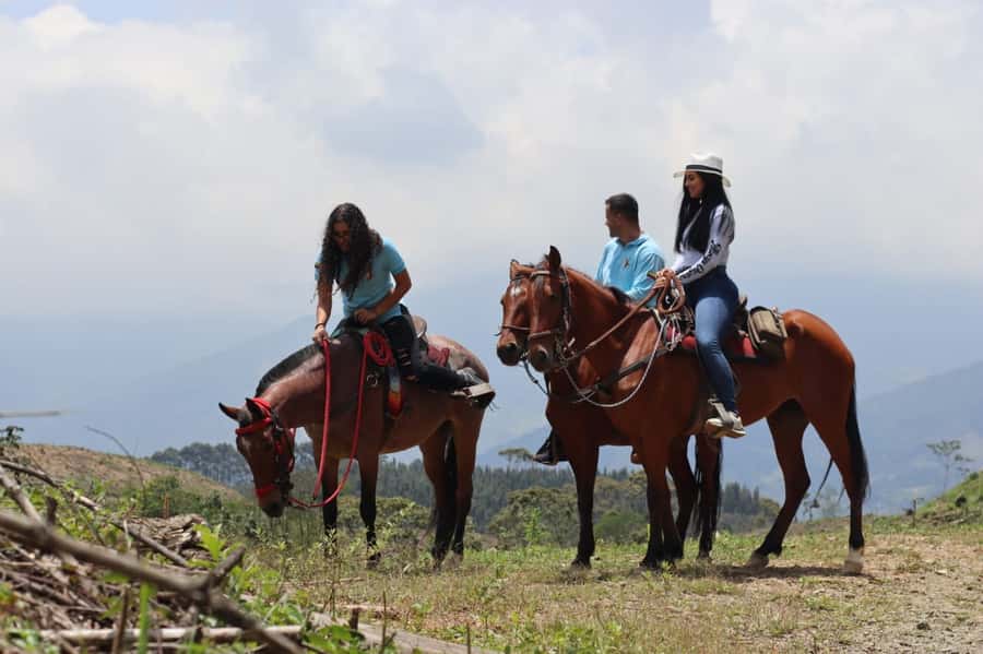 Medellin: Horseback Riding in the Medellin Mountains - Who This Tour Is Best For (And Who Should Skip It)