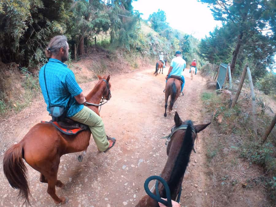 Medellin: Horseback Riding in the Medellin Mountains - Where Arriero Traditions Show Up on the Trail