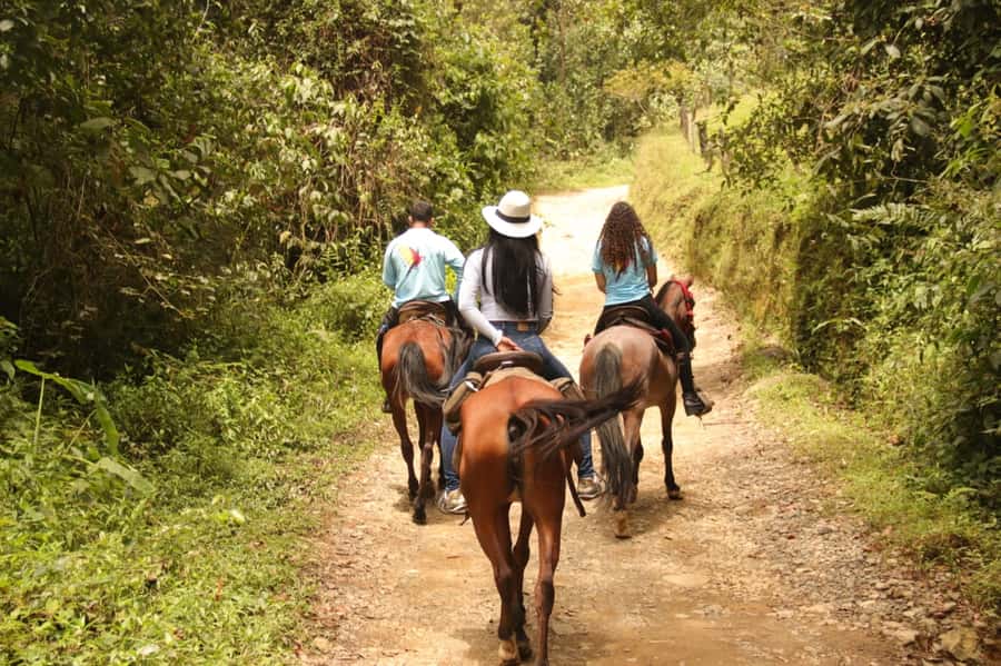 Medellin: Horseback Riding in the Medellin Mountains - Rain or Shine: What That Means for Your Clothes and Shoes
