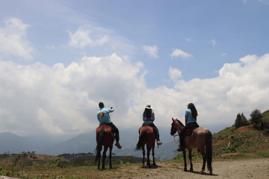 Medellin: Horseback Riding in the Medellin Mountains - Price and Value: Is $70 Worth It?