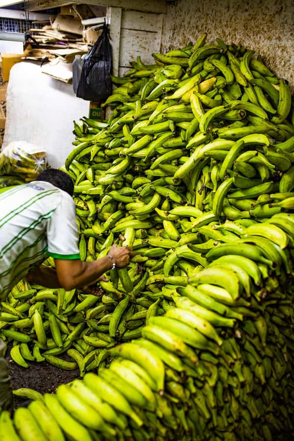Medellín Multi-sensory Tour in the market, +15 Exotic Fruits - Photo Stop and Self-Guided Time: A Useful Breather Inside the Action