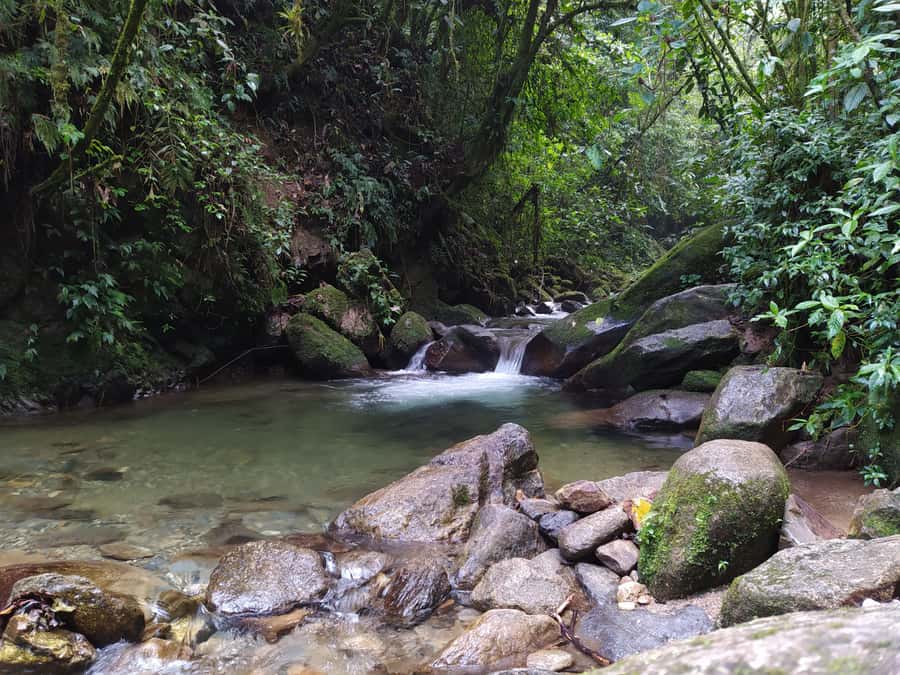 Medellín: Nature Experience & Waterfall-Hike - Key Things That Make This Hike Worth Your Time