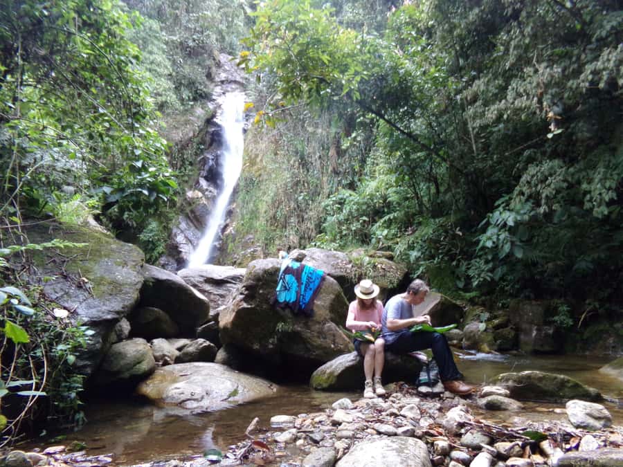 Medellín: Nature Experience & Waterfall-Hike - Eco-Hike in Cloud Forest: What the 90-Minute Walk Feels Like