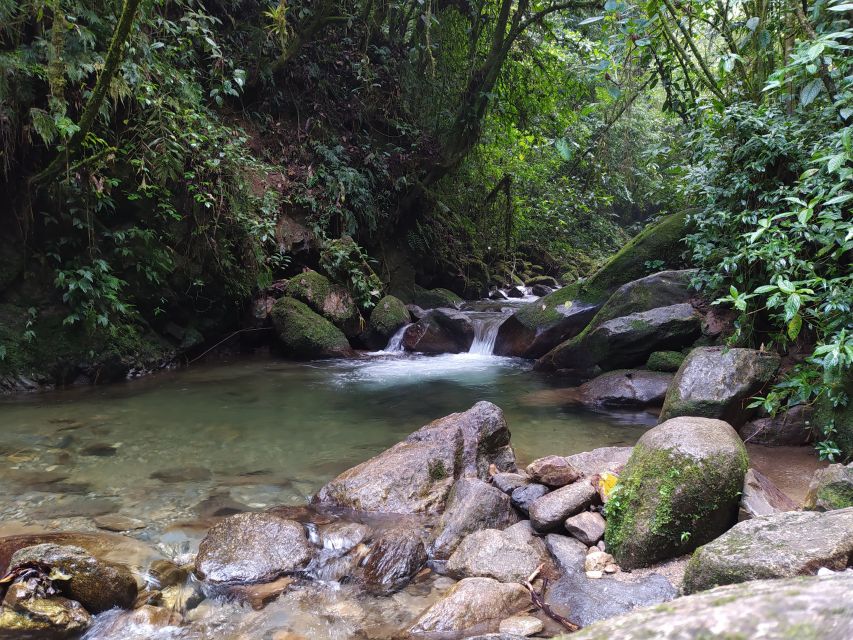 Medellín: Nature Experience & Waterfall-Hike - The La Miel Waterfall Stop: 20 Meters of Wow
