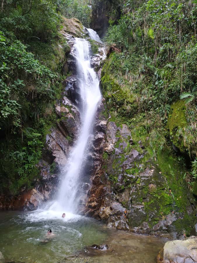Medellín: Nature Experience & Waterfall-Hike - Price and Value: Why $139 Makes Sense for a Half-Day