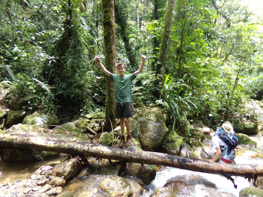 Medellín: Nature Experience & Waterfall-Hike - Van Ride Out of Medellín: Why the Timing Matters