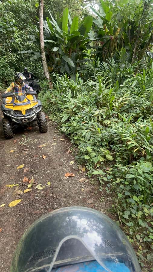 Medellin: Private ATV TOUR 1.5H - Key highlights at a glance