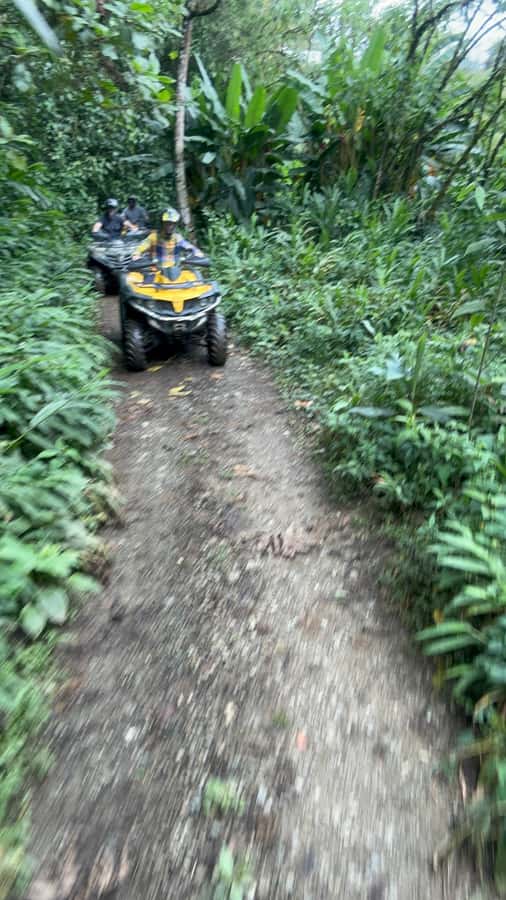 Medellin: Private ATV TOUR 1.5H - The 1.5-Hour Quad Bike Trail: Views, Smooth Sections, and Rugged Fun