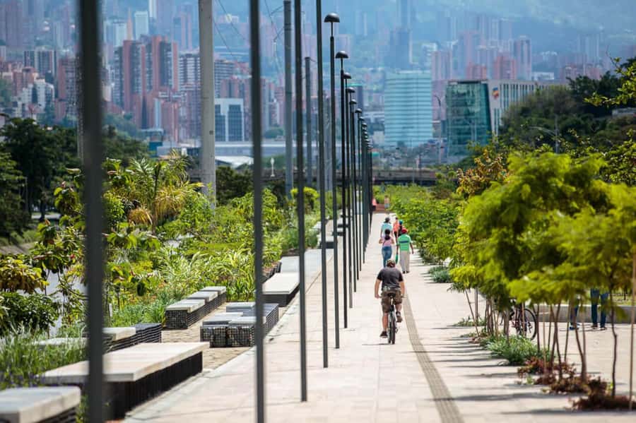 Medellín: Private City Tour and Comuna 13 Tour - Private bilingual guiding: why names like Felipe Ocampo matter