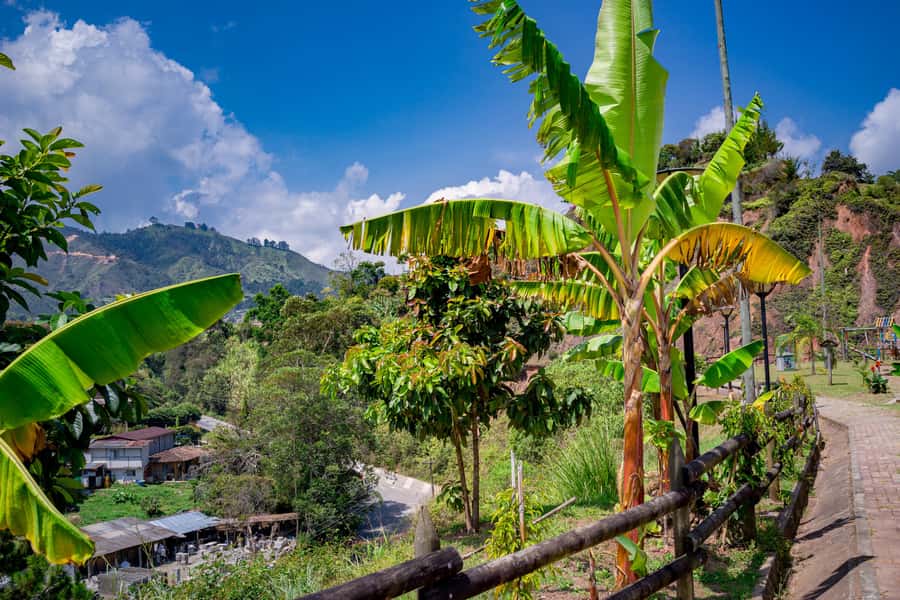 Medellín: Private Guatapé Tour w/ Breakfast, Lunch & Cruise - Who Should Book (and Who Should Skip) This 9-Hour Day Trip