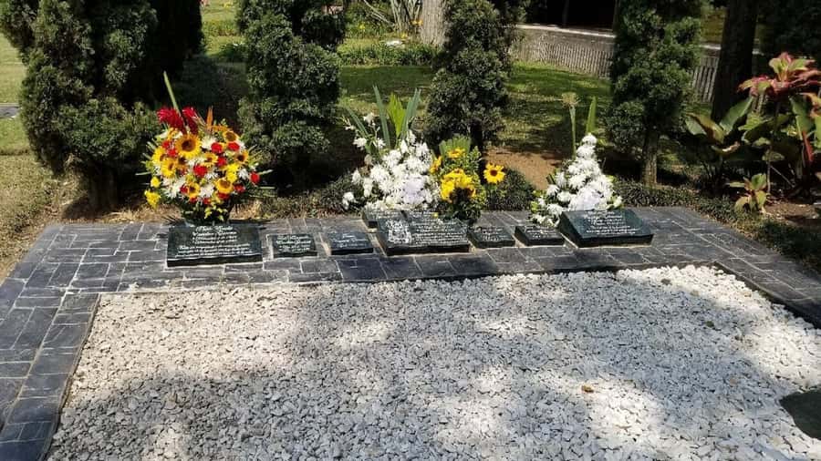 Medellín: Private Pablo Escobar and Comuna 13 Tour - Who this tour fits best (and who should look elsewhere)