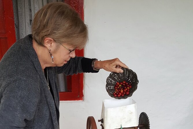 Private coffee tour near Medellín, from bean to cup. - How Flavor Happens: Altitude, Fermentation, Roasting, Drying