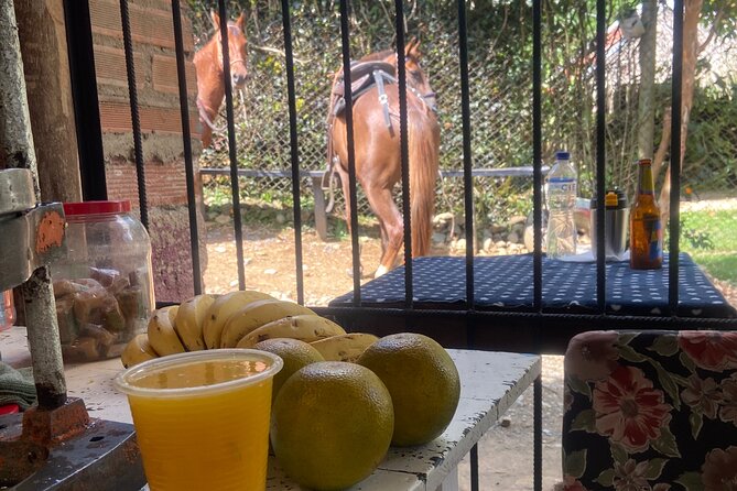 Scenic Horseback Riding in the Medellín Mountains - On Horseback in the Mountains: Pine Forest, Creeks, and Real Views