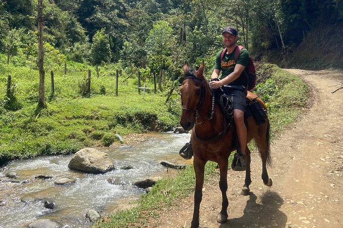 Scenic Horseback Riding in the Medellín Mountains - The Break That Makes It Worth It: Drinks, Carrot Cake, and Coffee