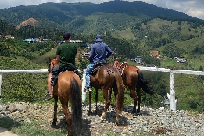 Scenic Horseback Riding in the Medellín Mountains - Who This Horseback Tour Is Perfect For