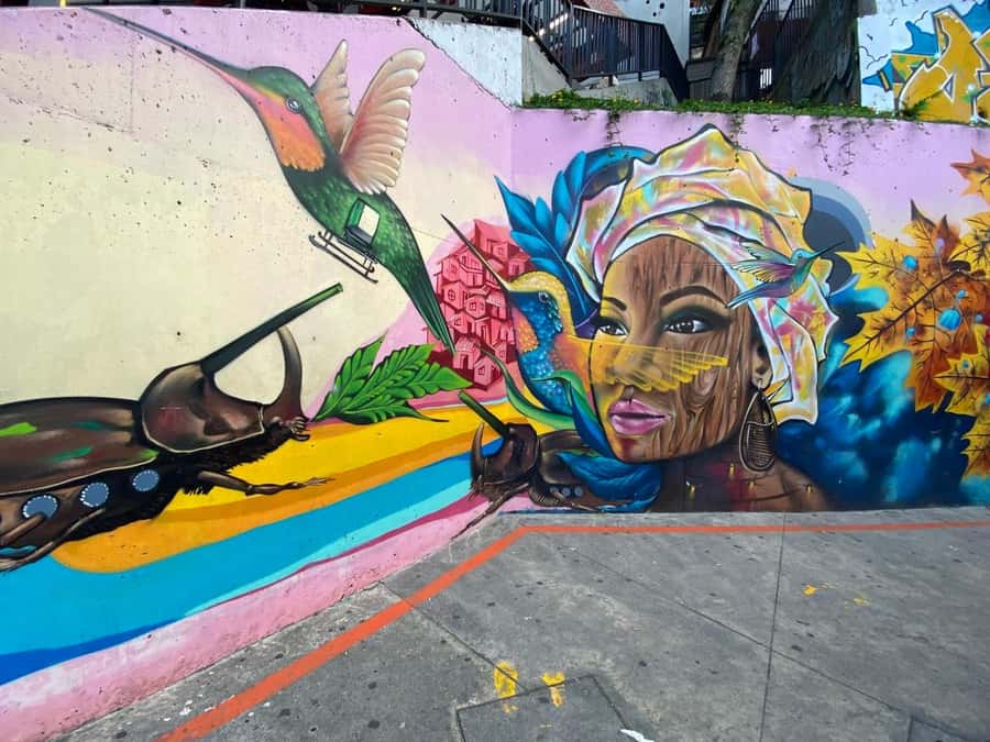 Tour Medellín: Pablo Escobar and Commune 13 - Key things to know before you go
