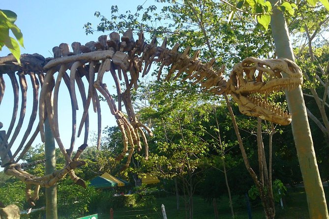 Tour to the Hacienda Nápoles Theme Park - Parque Temático Hacienda Nápoles in One Guided Block